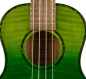 Preview: Ortega RUPR-IVY